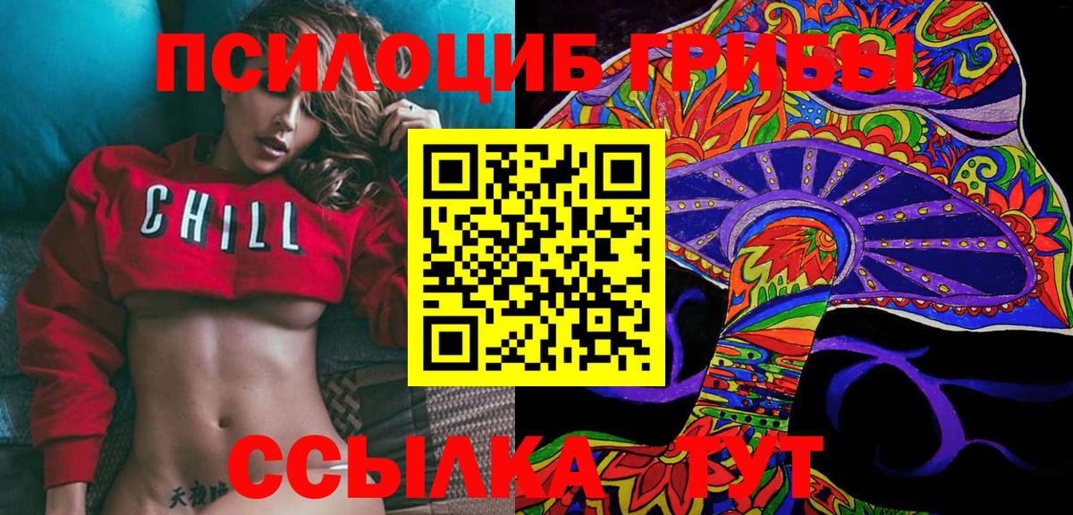 Галлюциногенные грибы Psilocybe Богородицк
